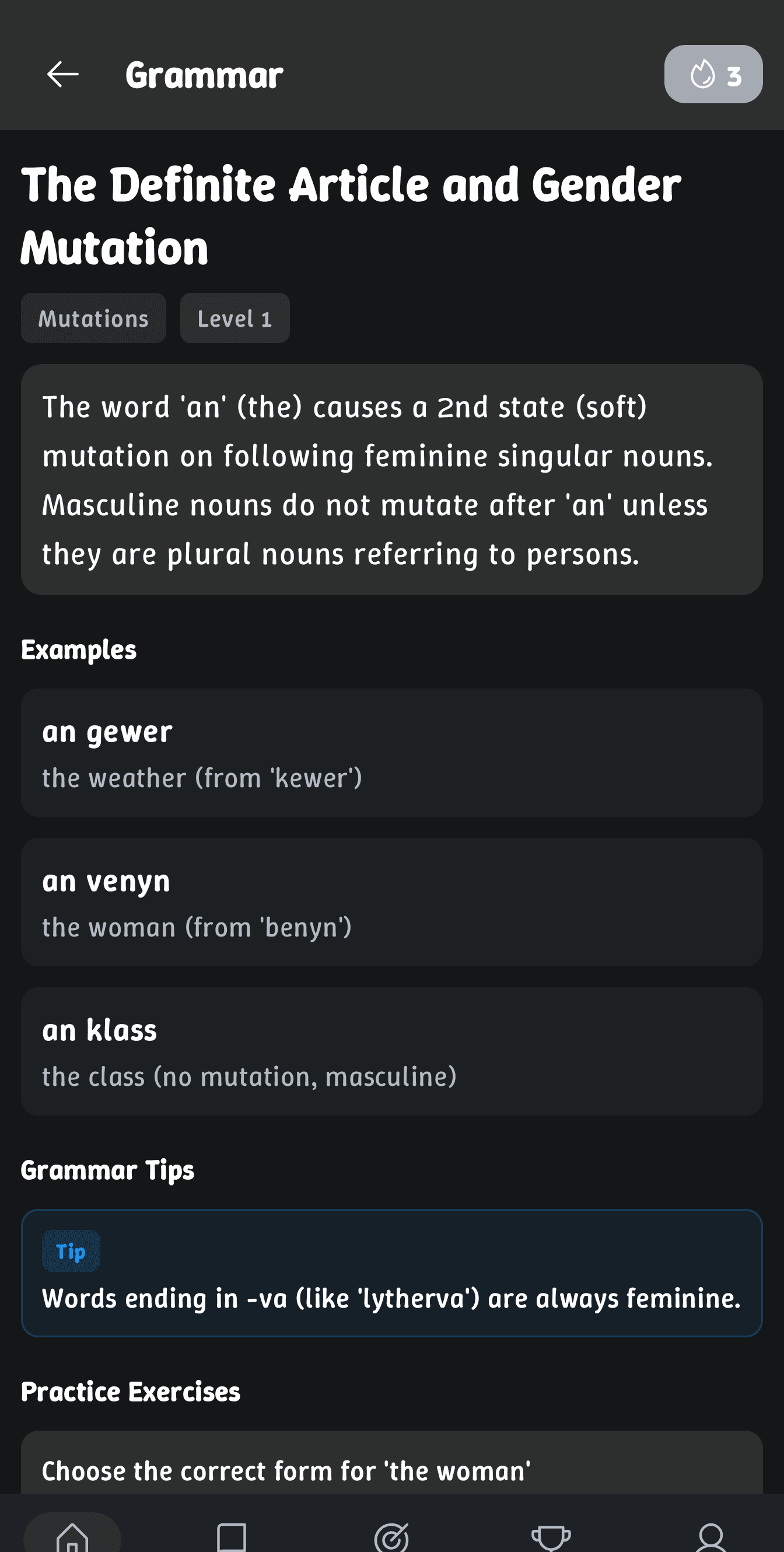 Grammar rule detail page with examples and a practice exercise